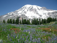 2005.07-Mt.Rainier-3