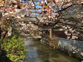 2017.03-Martin&Sopar-18